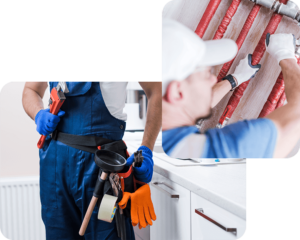 Plumbing Inspection