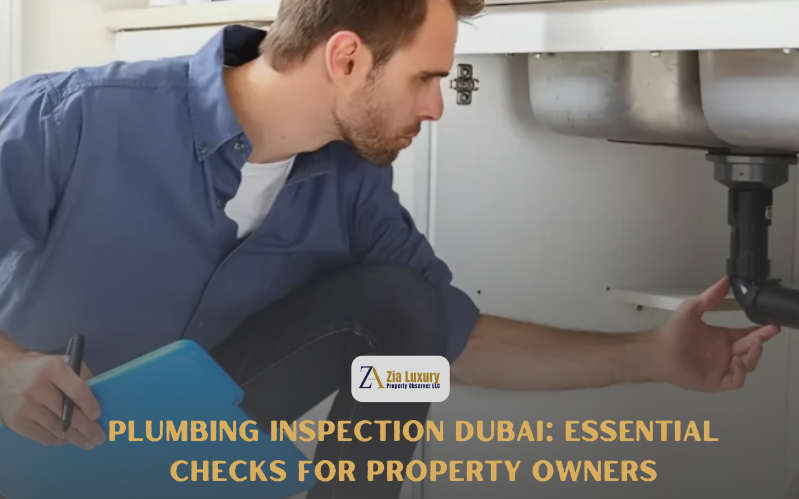 Plumbing Inspection Dubai