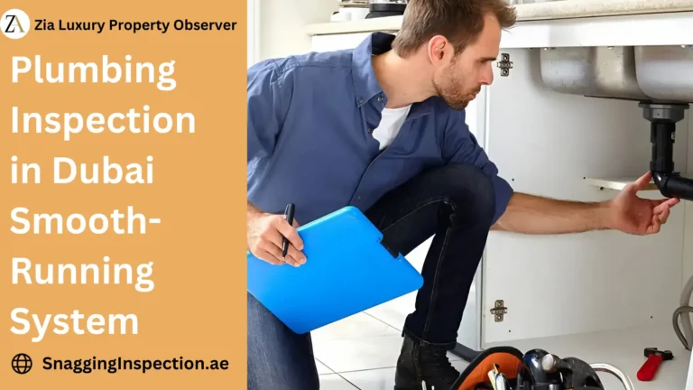 Plumbing Inspection in Dubai