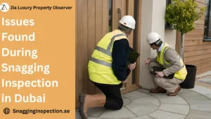 Issues Found During Snagging Inspection