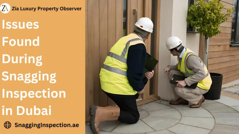 Issues Found During Snagging Inspection