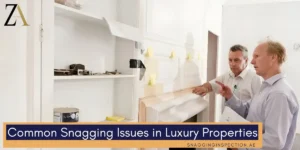 Common Snagging Issues