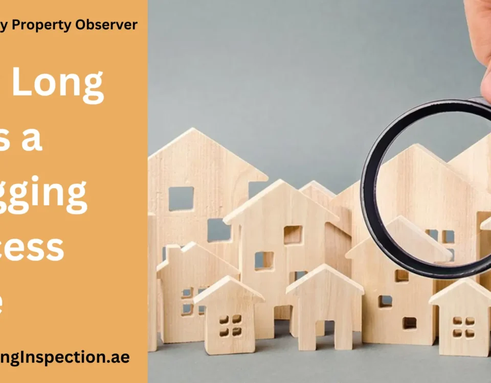 How Long Does a Snagging Process Take