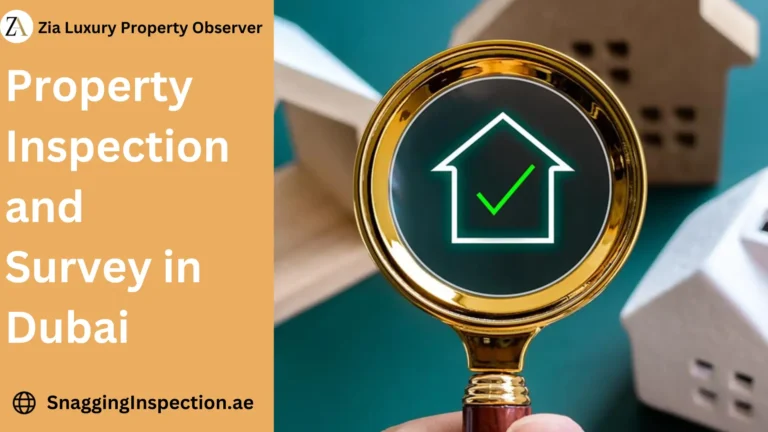 Property Inspection and Survey in Dubai