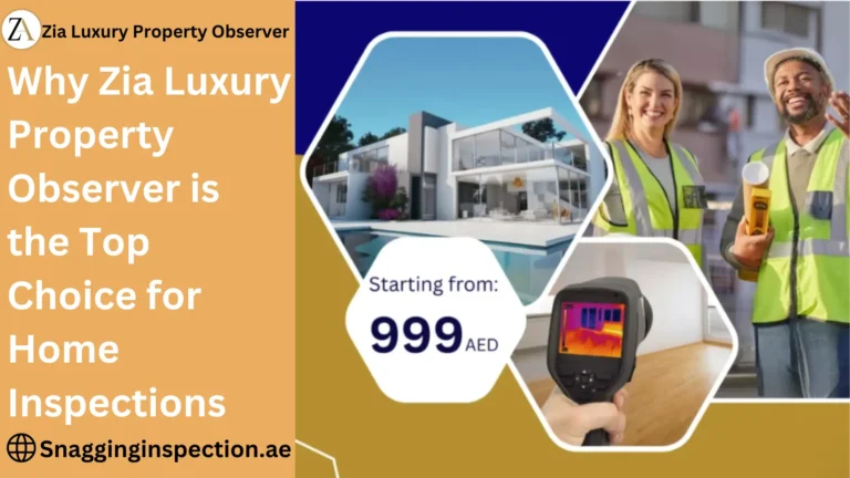 Why Snagginginspection.ae is the Top Choice for Home Inspections