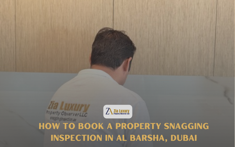 Property Snagging Inspection