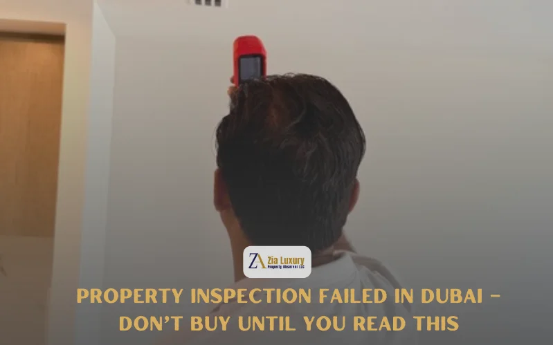 Property Inspection